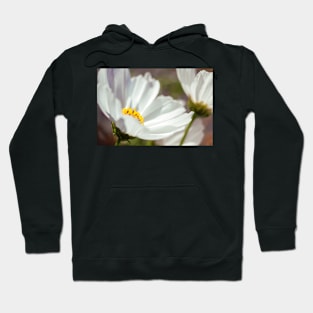 Daisies Hoodie